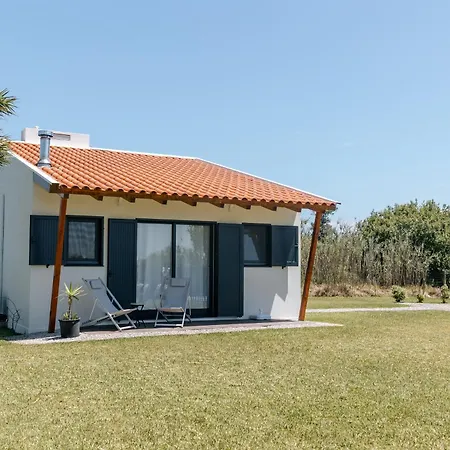 Villa Ria De Aveiro By Mycelia Ovar