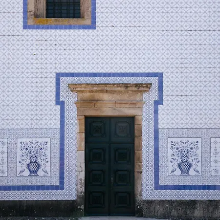 Ria De Aveiro By Mycelia