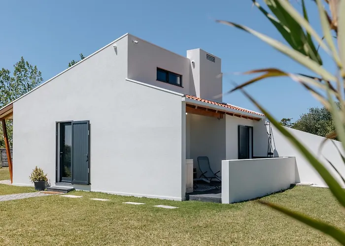 Ria De Aveiro By Mycelia