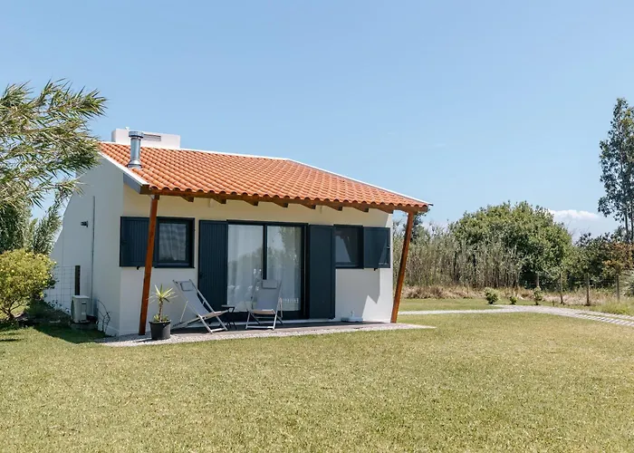 Villa Ria De Aveiro By Mycelia Ovar