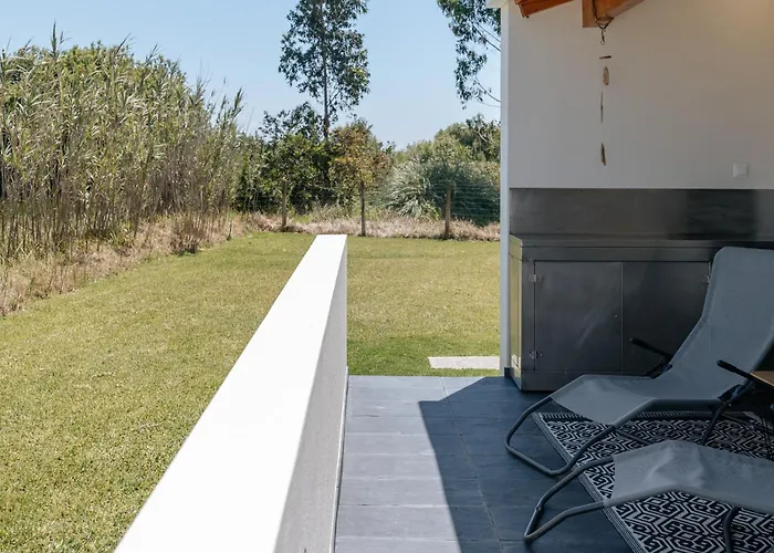 Ria De Aveiro By Mycelia Ovar