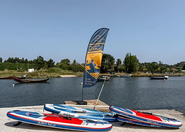 Ria De Aveiro By Mycelia Ovar