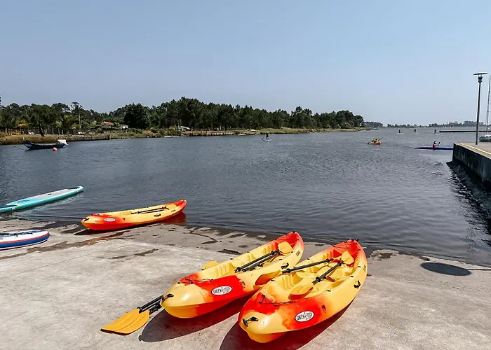 Ria De Aveiro By Mycelia * Ovar