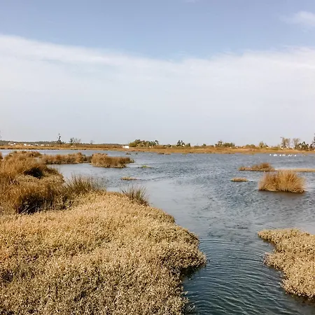 Ria De Aveiro By Mycelia * Ovar