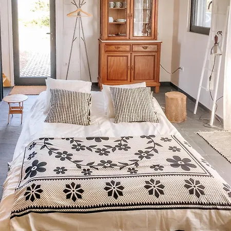 Villa Ria De Aveiro By Mycelia