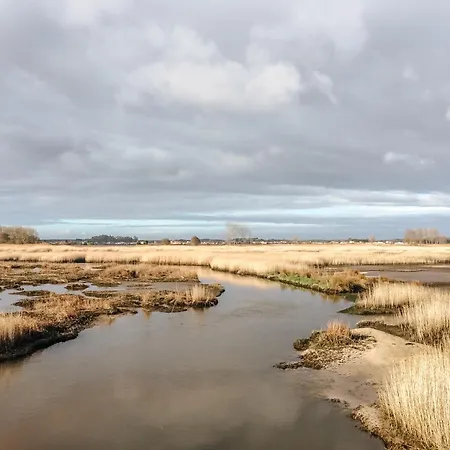 Ria De Aveiro By Mycelia Villa *