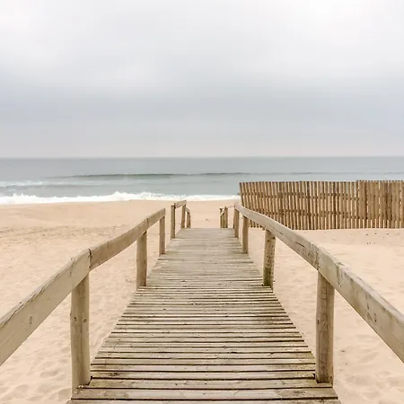 Ria De Aveiro By Mycelia *