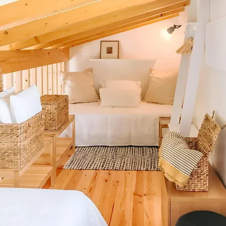Villa Ria De Aveiro By Mycelia