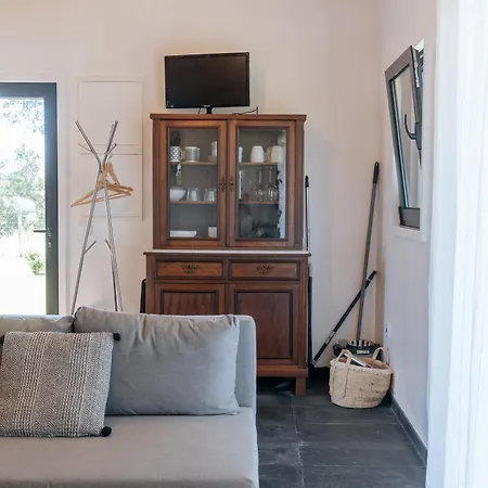 Villa Ria De Aveiro By Mycelia *