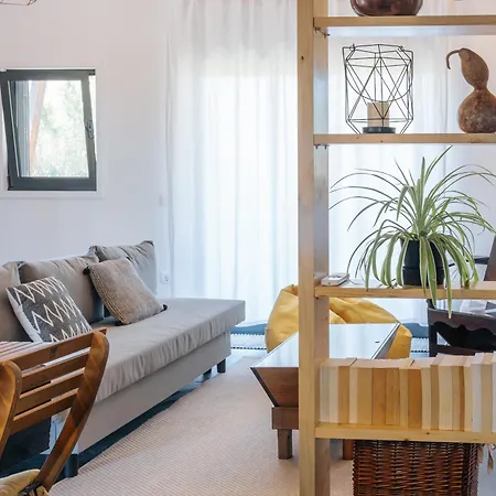 Ria De Aveiro By Mycelia Ovar