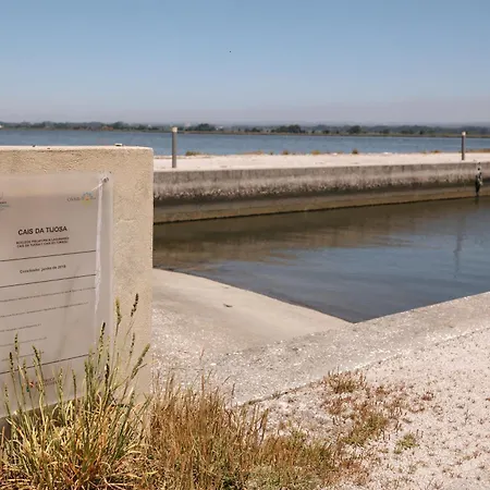 Villa Ria De Aveiro By Mycelia Ovar