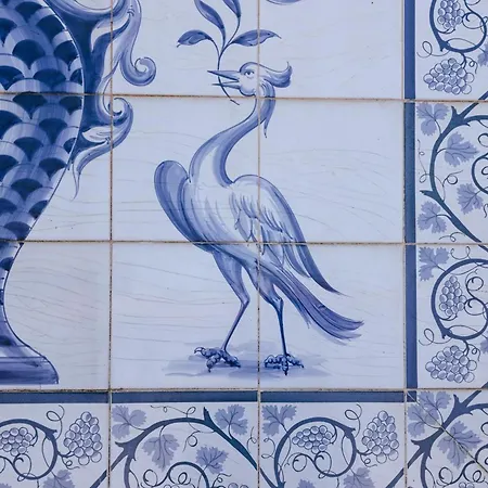 Villa Ria De Aveiro By Mycelia Ovar