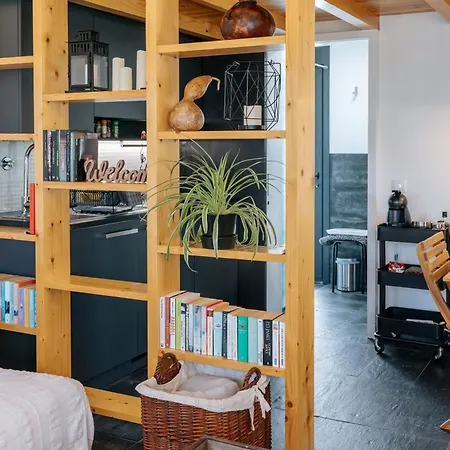 Villa Ria De Aveiro By Mycelia Ovar