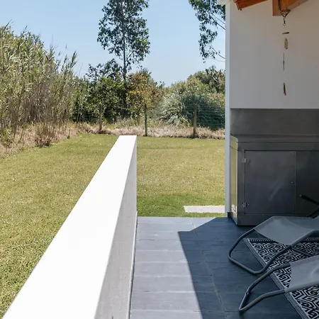 Ria De Aveiro By Mycelia Ovar