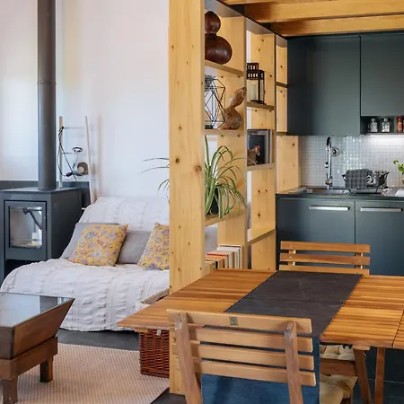 Villa Ria De Aveiro By Mycelia *