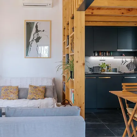 Ria De Aveiro By Mycelia Ovar