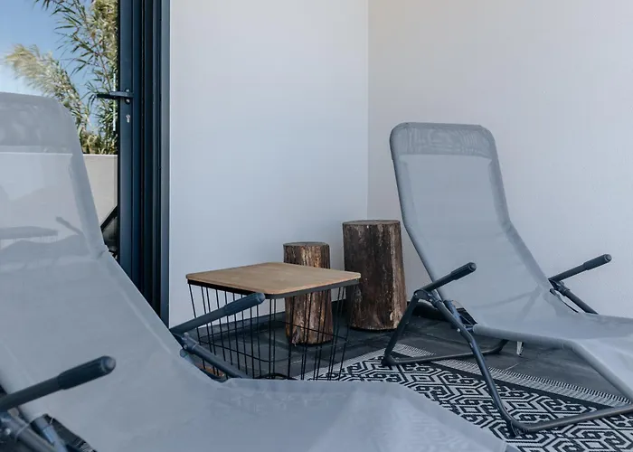 Villa Ria De Aveiro By Mycelia Ovar