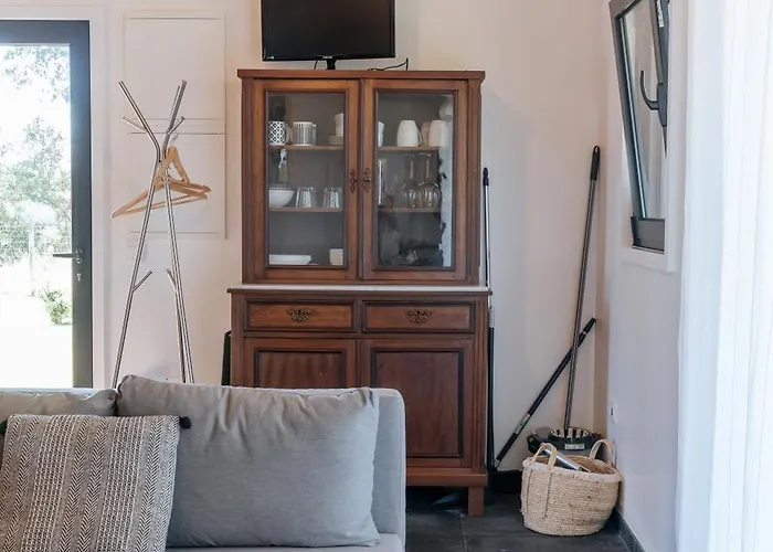 Villa Ria De Aveiro By Mycelia *