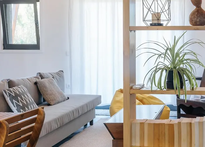 Ria De Aveiro By Mycelia Ovar