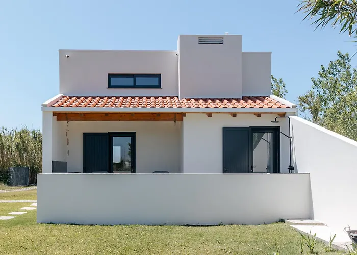 Ria De Aveiro By Mycelia * Ovar