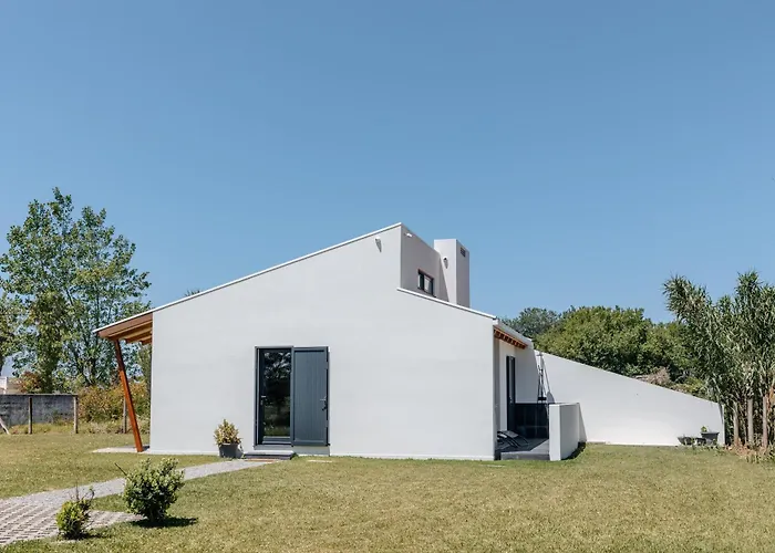 Ria De Aveiro By Mycelia