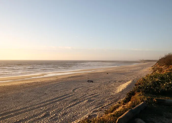 Ria De Aveiro By Mycelia Ovar