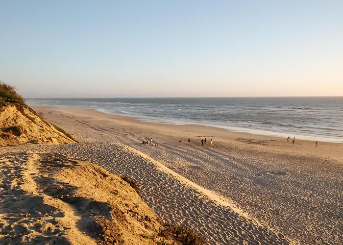 Ria De Aveiro By Mycelia *