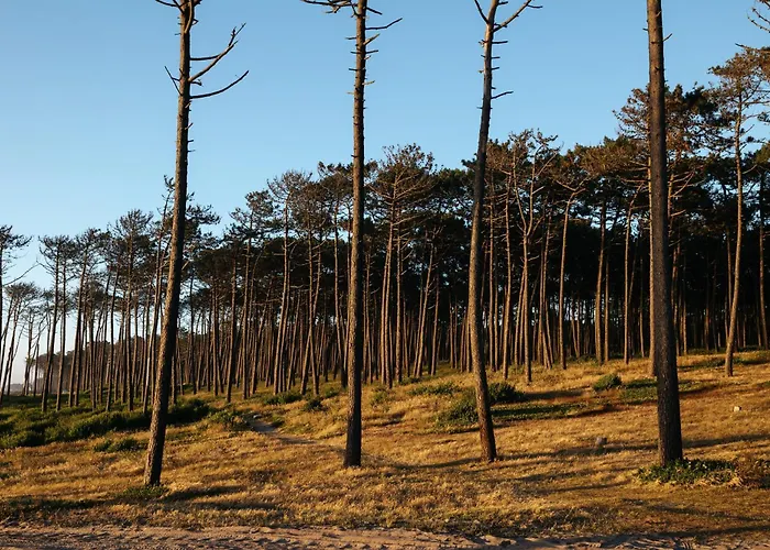 Ria De Aveiro By Mycelia Villa