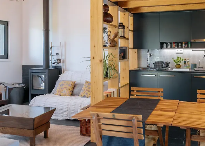 Villa Ria De Aveiro By Mycelia *